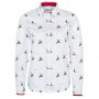 white background with pheasants