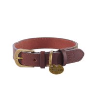 Le Chameau Dog Collar, Leather/Canvas, Vert Chameau, Size M