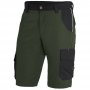 olive/black
