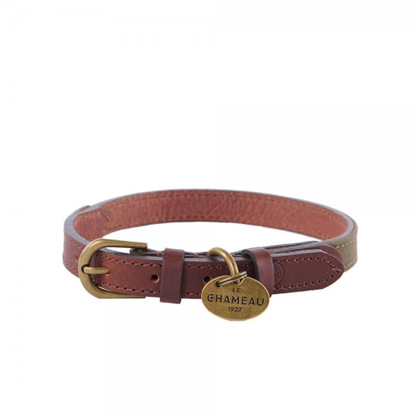 Le Chameau Dog Collar, Leather/Canvas, Vert Chameau, Size S