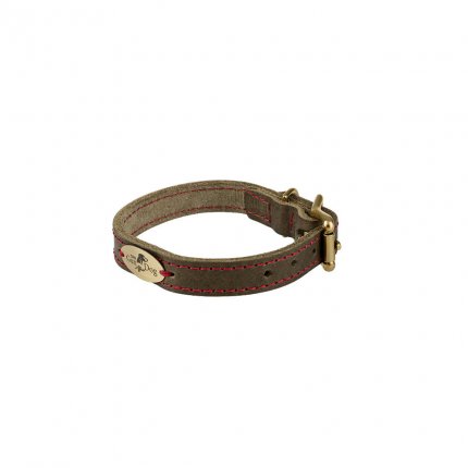 The GunDog Affair Collar 15 mm Size XXS Dog Collars Leads The GunDog Affair