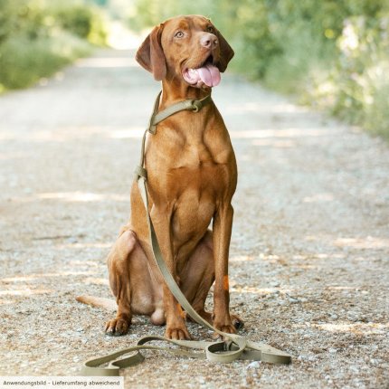Gun dog leash for sale outlet